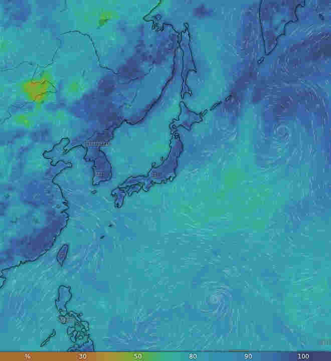 Windy.com気象画像