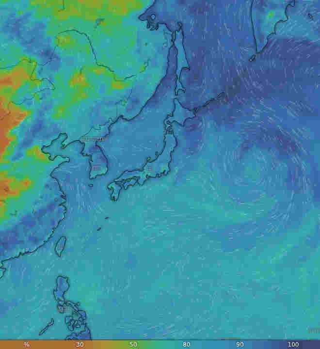 Windy.com気象画像