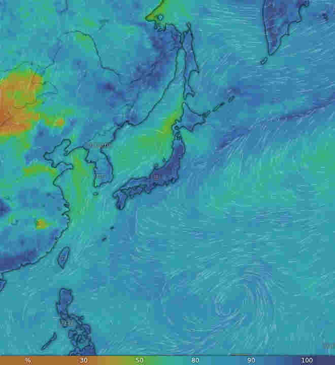 Windy.com気象画像