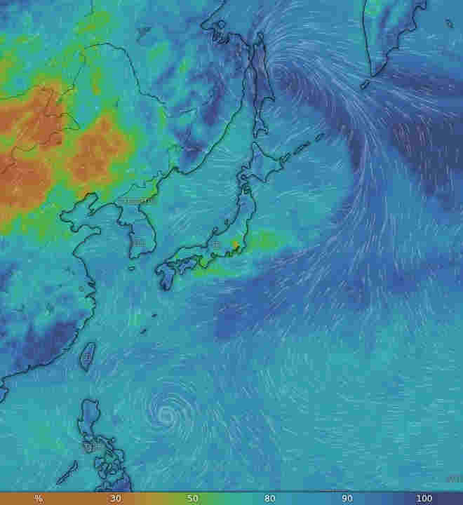 Windy.com気象画像